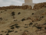 Tn  DSC0272